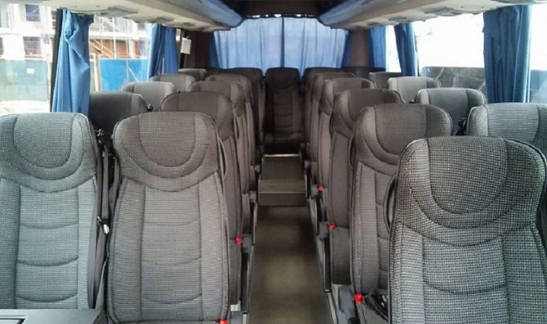 Germany: Coach hire in Baden-Württemberg in Baden-Württemberg and Rheinfelden